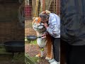 おばあちゃんの「いい子」の虎の子