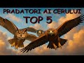 TOP 5 prădători zburători 🦅– Cine este regele cerului? Cei mai periculoși🦅–locul 1 te va UIMI