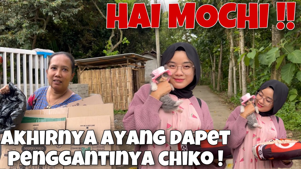 UDAH GAK NANGIS - AYANG DAPET PENGGANTINYA CHIKO❗️