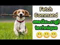 dog training : Fetch / Take it  Malayalam : kerala : വളര്‍ത്തു നായയെ പരിശീലിപ്പിക്കാം : gsd training