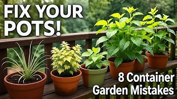 Fixing 8 Common Problems With Container Gardens