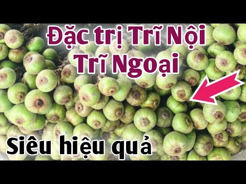 Video Bài thuốc trị bệnh Trĩ nội,Trĩ ngoại Siêu hiệu quả. - youtube