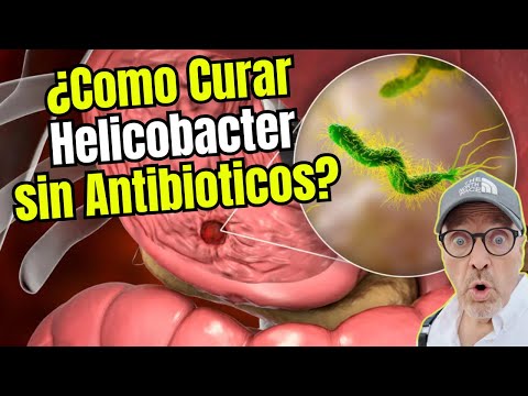 💙 ¿COMO CURAR EL HELICOBACTER PYLORI SIN ANTIBIOTICOS? 💙
