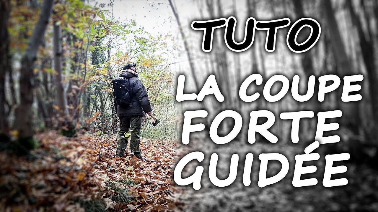 knife sharpener [TUTO BUSHCRAFT] Hachette : la coupe forte guidée
