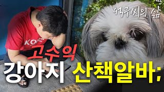 이렇게 쉬운 알바가 있다고?? 시급2만원