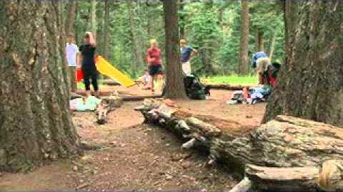 Webelos Experience - Transition