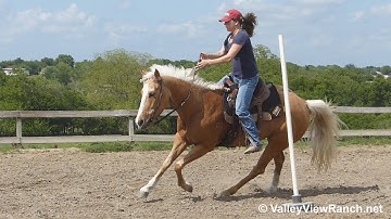 Goldi Flight - running the poles - ValleyViewRanch.net