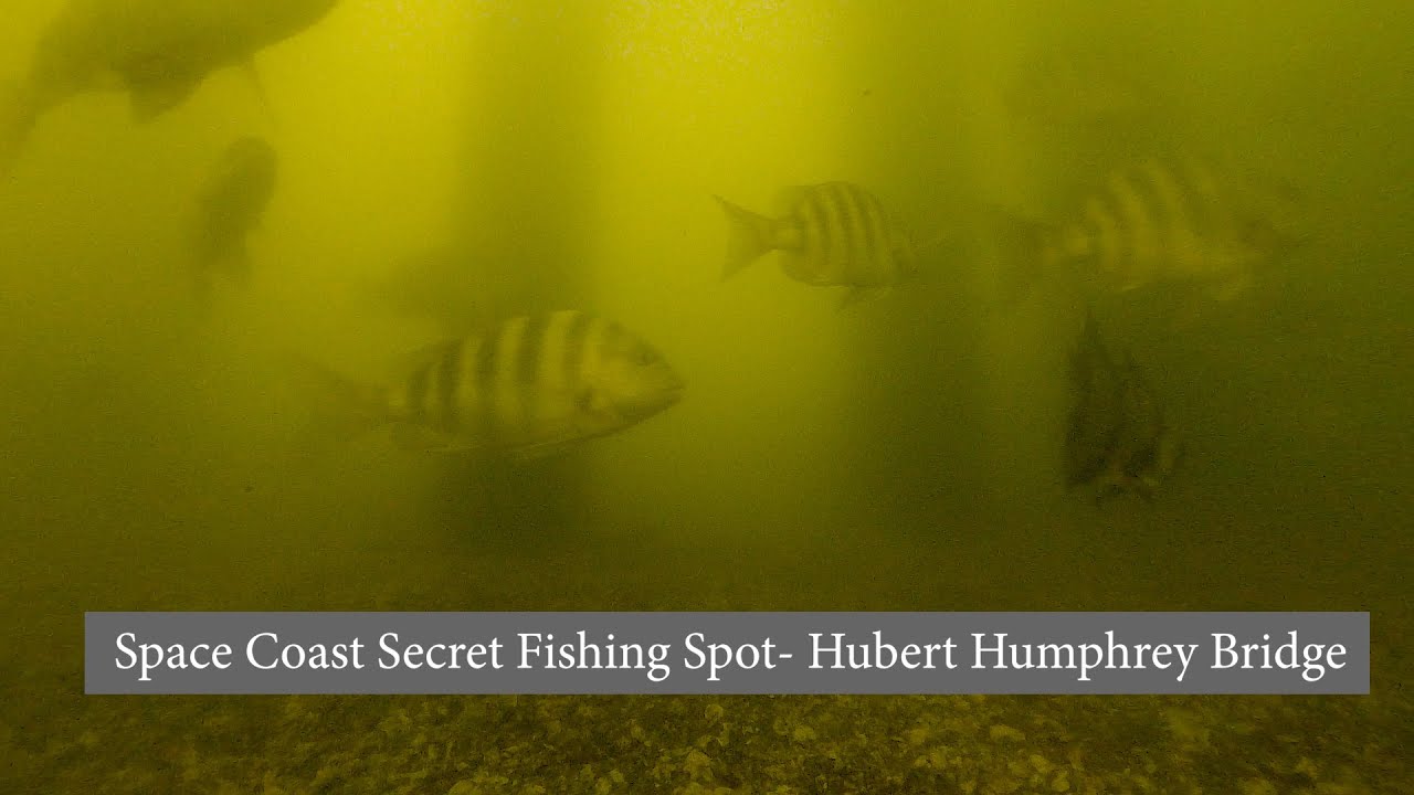 Hubert Humphrey Bridge Secret Fishing Spot- Cocoa Beach - YouTube