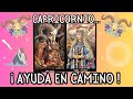 💥Capricornio: Estás al límite… pero el Tarot revela quién viene a ayudarte