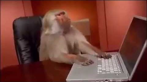 funny videos: When the wifi goes out