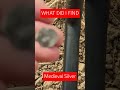 WHAT DID I FIND #shorts #metaldetecting #short #subscribe