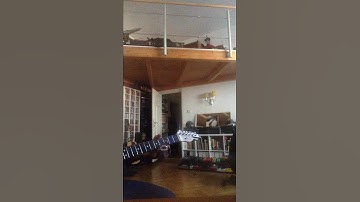 Thumbnail of StrymonSierraSeagulls#1