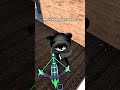 me in every universe #roblox #murdermystery2 #mm2 #robloxedit #edit #montage #robloxedits #sheriff