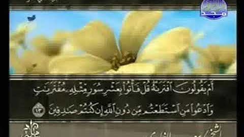 سورة هود من الآية 13 الى الآية 28