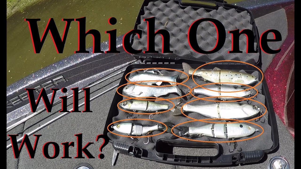 The Best Swimbait?- Choosing the Right Swimbait for the Conditions