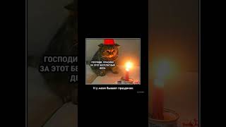 Смешные демотиваторы #649 | Юмор и приколы #shorts