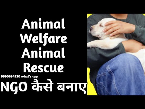 How to Start Animal Welfare NGO in India