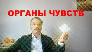 Информацию об окружающем нас мире мы воспринимаем органами чувств. Какие органы чувств у нас есть?