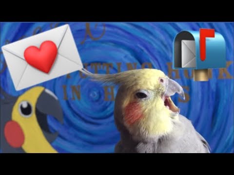 birb-mail!