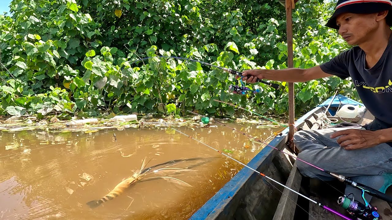 LUAR BIASA UDANG BESAR - BESAR NGANTRI NUNGGU GILIRAN UNTUK DI TARIK || MANCING UDANG GALAH