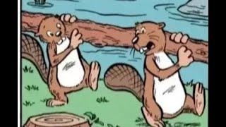Beaver Insights Uncovered!