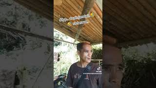 Download Lagu dupir🤣 MP3 Download Lagu dupir🤣 MP3