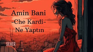 Amin Bani  - Che Kardi ( Ne Yaptın? ) Türkçe Sözleri