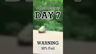 NNN Challenge Day 7
