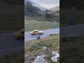 #automobile #raduni #lancia037 #ferrari #porsche