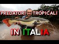 Pesci Tropicali in ITALIA - Dove Pescarli? Lago River Monsters (4K)