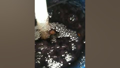 SISTEM OTOMASI TANAMAM SELADA HIDROPONIK BERBASIS INTERNET OF THINGS MELALUI APLIKASI BLYNK