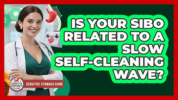 Is Your SIBO Related To A Slow Self-cleaning Wave? - Sensitive Stomach Guide