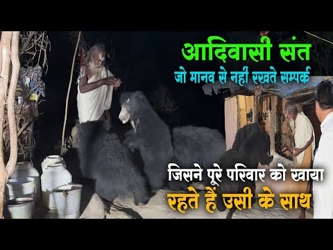 जिनके परिवार को खा गए जंगली भालू अब उन्हीं भालुओं के साथ... @gurugyangaurav #guru_gyan_gaurav