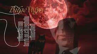 Türkistan İhtilalcilerinin Türküsü - Hüseyin Nihal Iz Bilgetigin Düzenleme