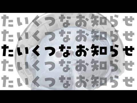 たいくつなお知ららららららせ【#ぶいぱい / 綿貫ねぐせ 】 video thumb