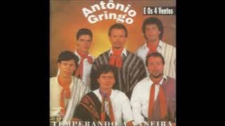 Antônio Gringo e Os 4 Ventos | Temperando a Vaneira | 1994 | Disco Completo