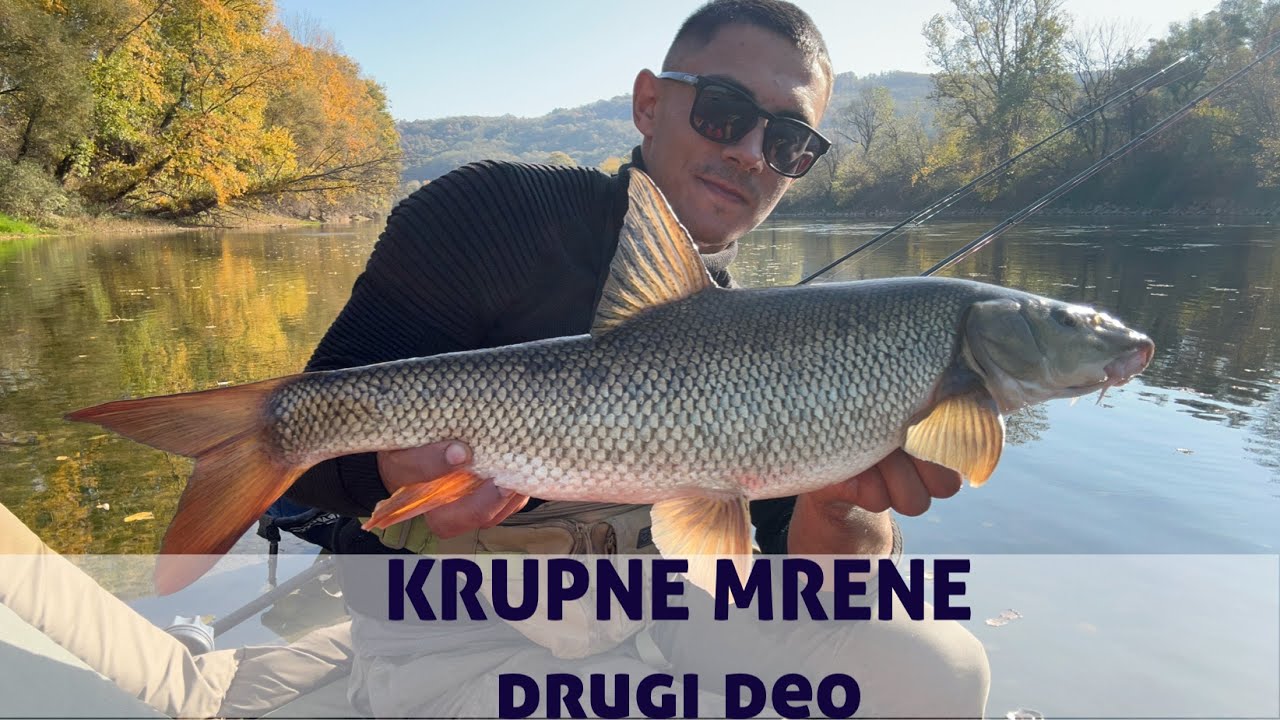 KRUPNE MORAVSKE MRENE