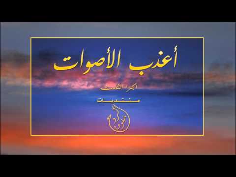 دنيا عجيبة أداء حامد الحلافي