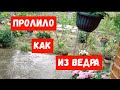 #82ЖИВЕМНАКУБАНИ/ПО МАГАЗИНАМ/ПЕЛЬМЕНИ/ДОЖДЬ