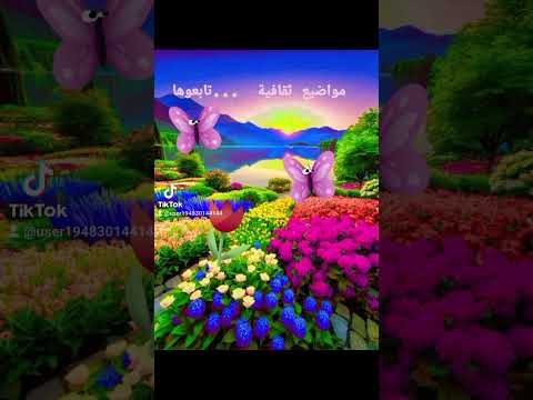 15 De Março De 2024 