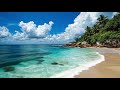 NEW Reggae Mix 2024 💓 Romantic Reggae Love Song 2024 ❣️ Relaxing Roadtrip Reggae Songs 119