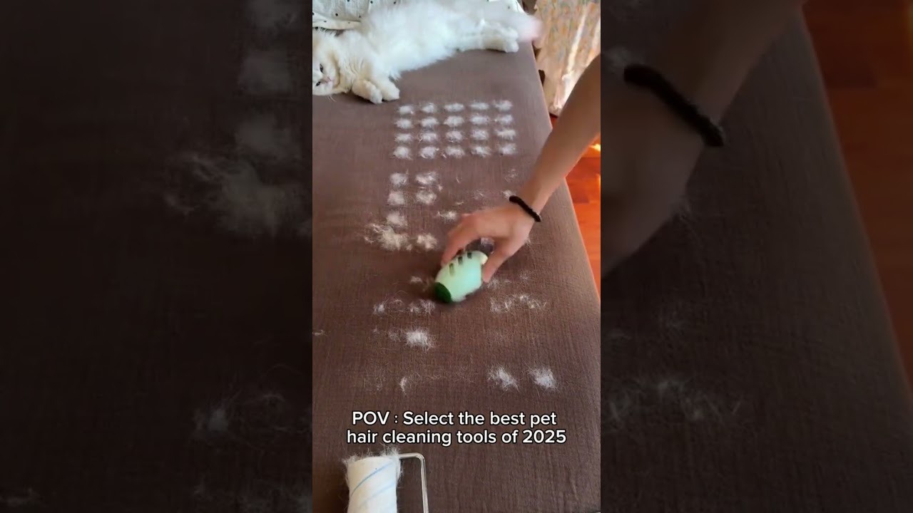 Pet Hair Everywhere? This Glove Fixes It Fast 🐾