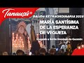 Virgen de la Esperanza llegando a su Templo Santo Domingo de Guzmán | Extraordinaria 2025 | Tanausú+