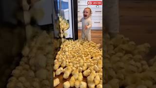 Surprise When The Fridge Is Full Of Baby Chicks