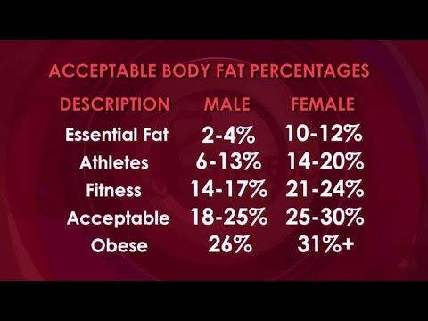 How to Measure Your Body Fat Percentage at Home