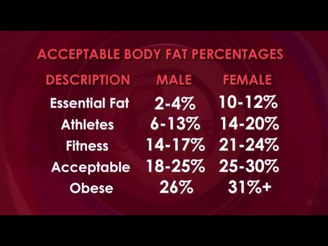 How To Calculate Your Body Fat Percentage