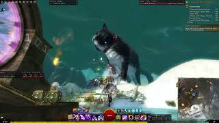 Peculiar bug in Eye of the North - GW2