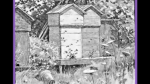 c 2-21 (part 1) Video Lesson XXI: The Bee.- McGuffey