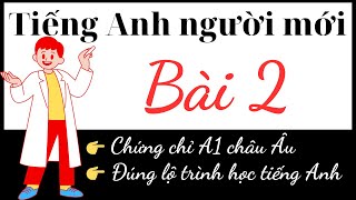 Learn English for Beginners | A1 certificate | Lesson 2