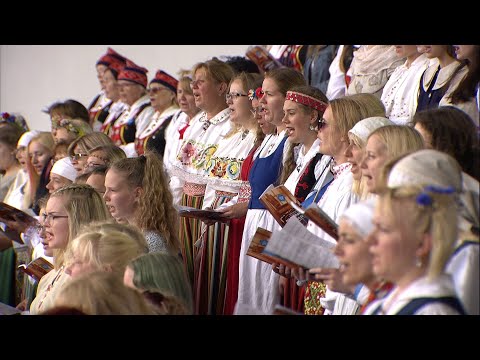 Omaloomingu korjetalgud. Susanna